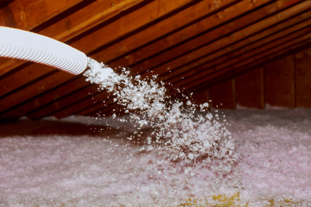 Best Insulation Installation Services in Grosse Pointe Park, MI