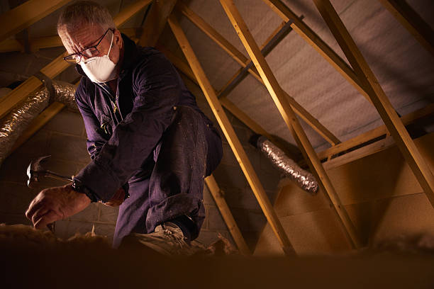 Best Insulation Installation Services in Grosse Pointe Park, MI
